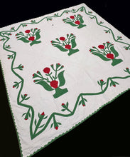 Load image into Gallery viewer, Trapunto Applique Quilt
