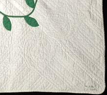 Load image into Gallery viewer, "Magic Vine" Quilt