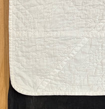 Load image into Gallery viewer, "Magic Vine" Quilt