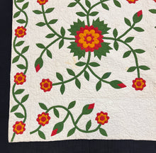 Load image into Gallery viewer, Whig Rose