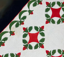 Load image into Gallery viewer, Reel Appliqué Quilt