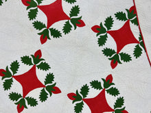 Load image into Gallery viewer, Reel Appliqué Quilt