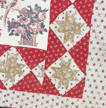 Load image into Gallery viewer, Central Medallion, Broderie Perse Quilt