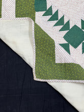 Load image into Gallery viewer, Wild Goose Chase Quilt