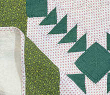 Load image into Gallery viewer, Wild Goose Chase Quilt