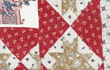 Load image into Gallery viewer, Central Medallion, Broderie Perse Quilt