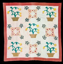 Load image into Gallery viewer, Pots of Flowers Quilt