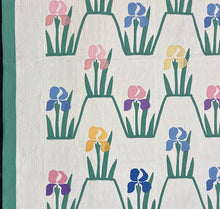 Load image into Gallery viewer, Iris Quilt