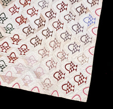 Load image into Gallery viewer, Flower Basket Medallion Quilt