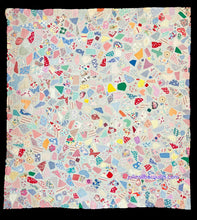 Load image into Gallery viewer, Crazy Quilt Variant
