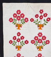 Load image into Gallery viewer, Pots of Flowers Quilt
