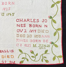 Load image into Gallery viewer, Family Records Quilt
