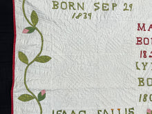 Load image into Gallery viewer, Family Records Quilt
