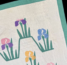 Load image into Gallery viewer, Iris Quilt
