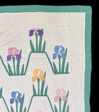 Load image into Gallery viewer, Iris Quilt
