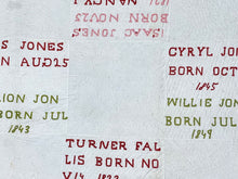 Load image into Gallery viewer, Family Records Quilt
