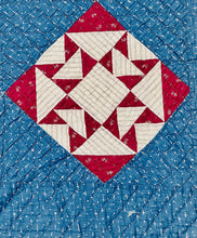 Load image into Gallery viewer, Wild Goose Chase Quilt
