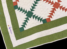 Load image into Gallery viewer, Wild Goose Chase Quilt
