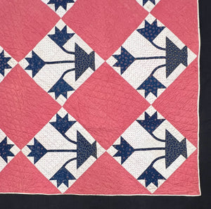 Carolina Lily Quilt