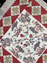 Load image into Gallery viewer, Central Medallion, Broderie Perse Quilt
