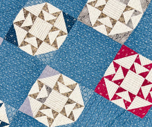 Load image into Gallery viewer, Wild Goose Chase Quilt

