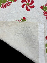 Load image into Gallery viewer, Christmas Cactus Applique Quilt
