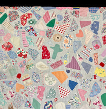 Load image into Gallery viewer, Crazy Quilt Variant
