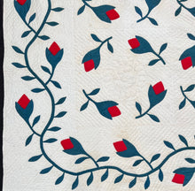 Load image into Gallery viewer, Leaves and Buds Applique Quilt
